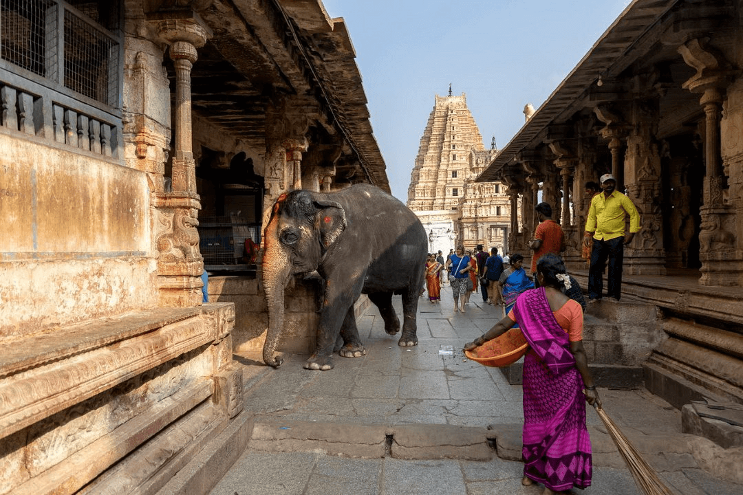 inz _ jan kortenhorst _ hampi virupaksha tempel.png